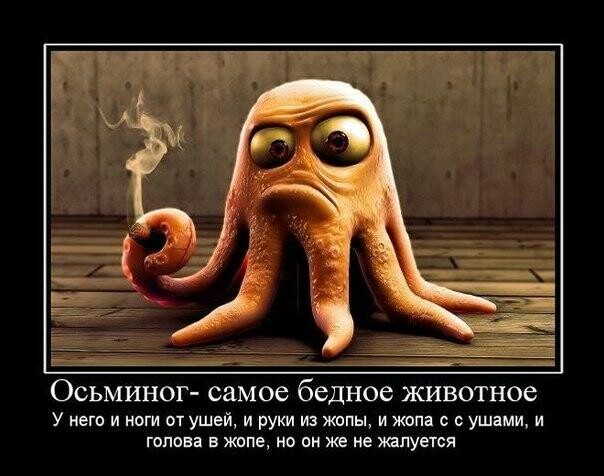 post-149136-0-05142700-1435224386_thumb.