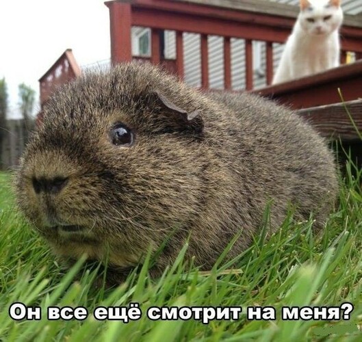 0lkIIDSQ1PM.jpg