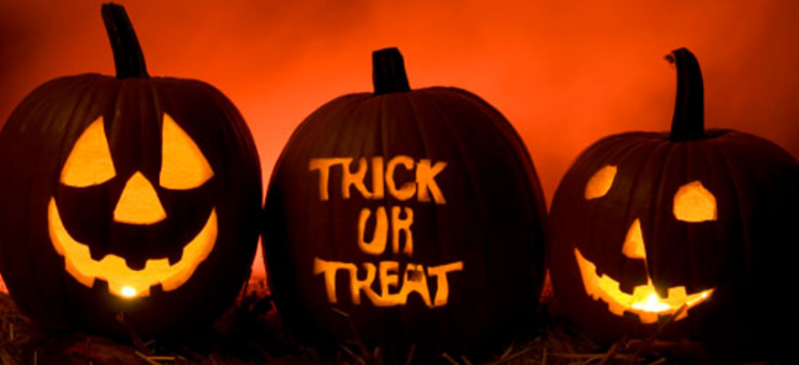 pumpkin-e1414603442876-900x412.png.86ea7