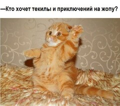 а можно я!?
