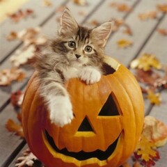 Хеллоуин =)