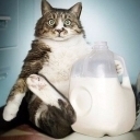 3убнаяФея