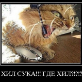 РязанскийБиш
