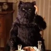 КотБегемот