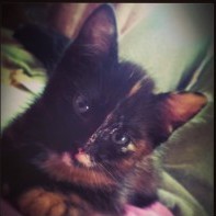 CuteBabyy
