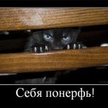 Mr_ifrit