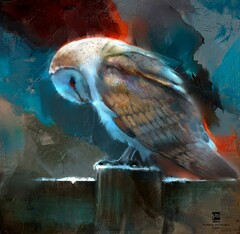 owl
