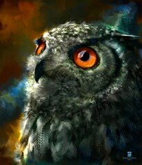 owl