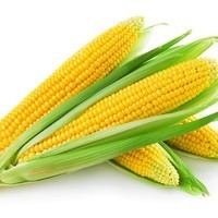 СочныйКукурузник
