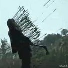 CollapseProject