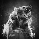 Evoll