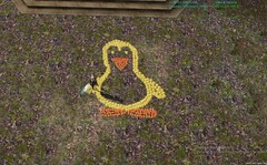 8384104.jpg