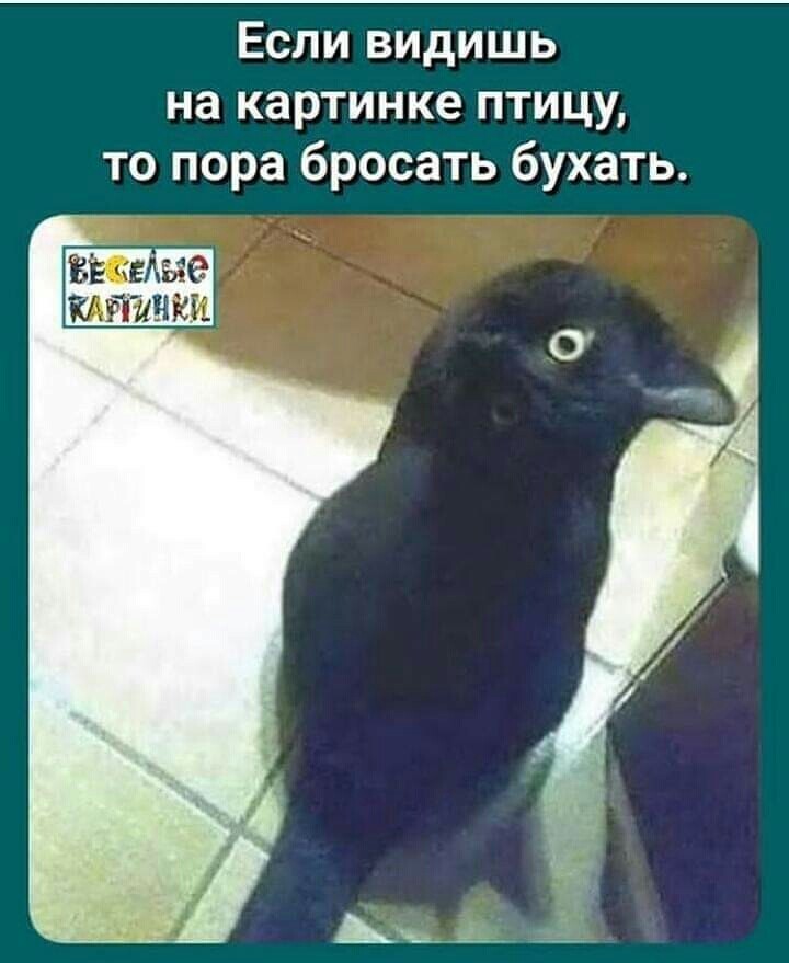 836351624__viber_2019-11-19_19-27-55.jpg.e438247ba9e2c141ed47d33788a675d3.jpg