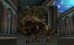 Коралловый Сад