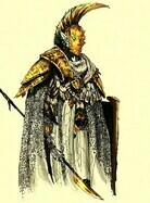 Ordi RG