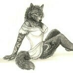 NightFuryBD