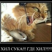 K0TIK
