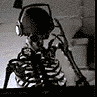 BareBones