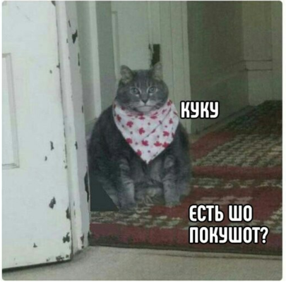 0bfc8380287e.png