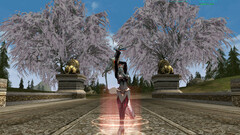 Shot00049.jpg