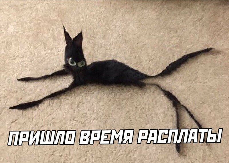 yRZOLPCuPeU.thumb.jpg.8021128054a7a89dbb6c6c5ea2dad66f.jpg
