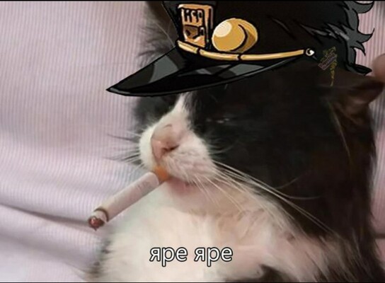 0ONgBg9nkBI.jpg