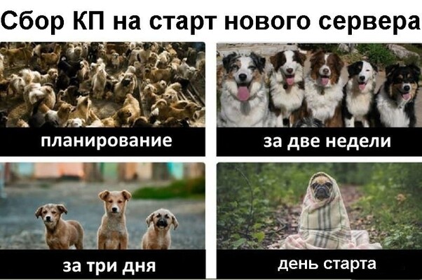 1Hp6sgHYQ2Y.jpg