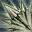 skill0987.png.59b6e49dabd2ec9ca0f640e92acffe2f.png