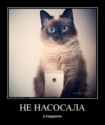 B2C97F18-9C3E-4C3E-9ABA-7EF3CDF53746.jpeg