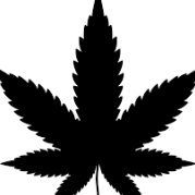 MrGanja