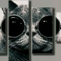 Dissident