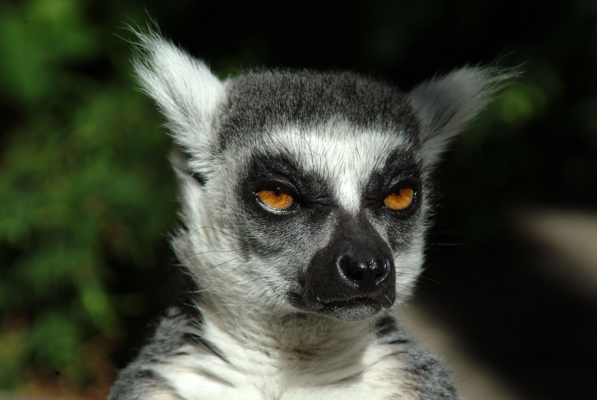 image.thumb.png.27eed7e8eb059fe3e53e278841ee0437.png