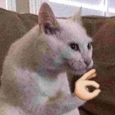 sticker.jpg