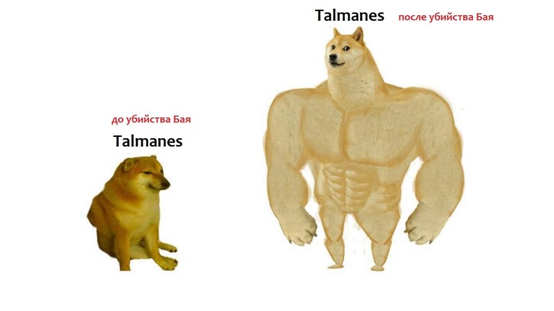 626005221_.thumb.jpg.967deea490784cd663e039564ddbb558.jpg