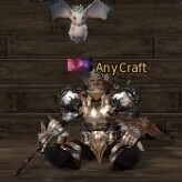 AnyCraft