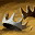 image.png.6cf3e294c7b069eb5a8eac6caf5b550a.png