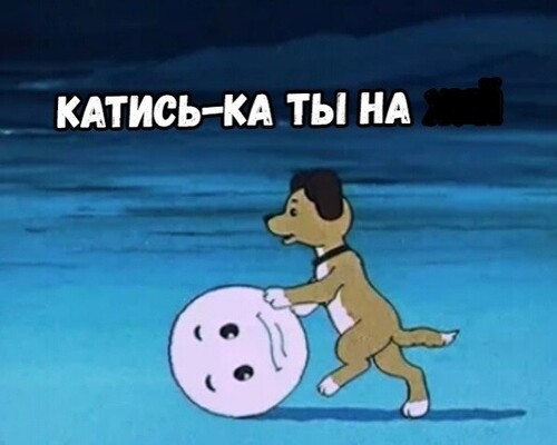 445566.jpg