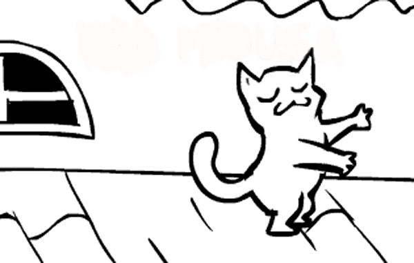 315041868_.gif.bfee86a5b76aaa8a307b4d6926b774b1.gif