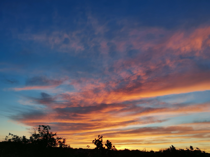 image.thumb.png.0619dde1287f87501f5a5593f6ddbc69.png