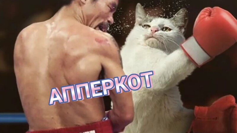 maxresdefault (1).jpg