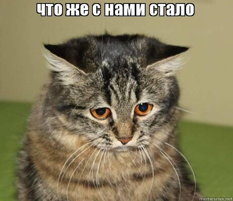 D6E2BDA7-0F95-49D8-ABDB-0226C05A959C.jpeg