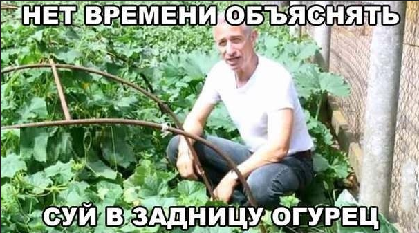 image.png.40c094ddbd8a4d0e69ed6142096c1284.png
