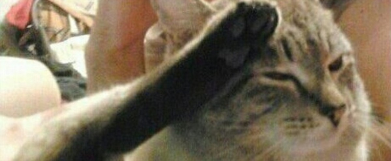 image.thumb.png.28032ec1bd278c0a4859fc51c965ce54.png
