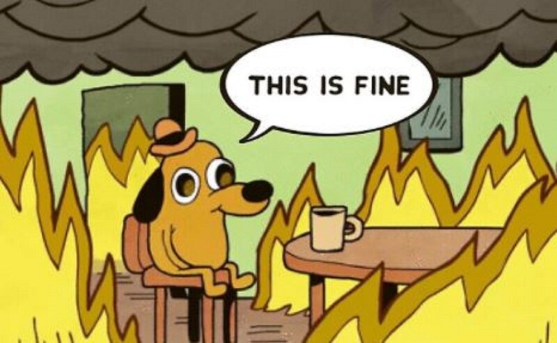dogfine.jpg