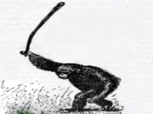 1.jpg.0e09b0570b451ea3ebedb0f0b4da8a3f.jpg