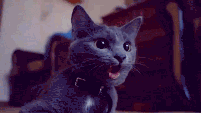 gifs_02.gif.18bd0330fc430feb570599033af67fd7.gif