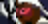 image.png.bf7da01f0faef12a63b660f1176e8d9e.png