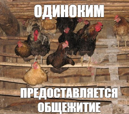 image.png.ab81908b1e2e2368bb4432014e03e651.png