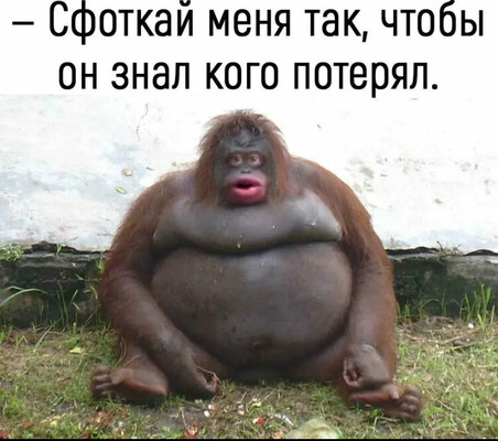 IMG_8840.thumb.jpeg.d99eeee3fae23dbc3ae2be9019f14ba2.jpeg