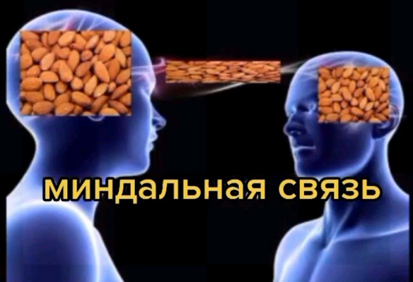 image.thumb.png.0f5f224a81e28b4da828d1f105734d14.png
